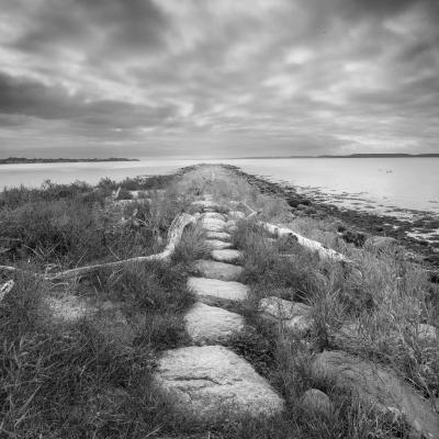 Waterland